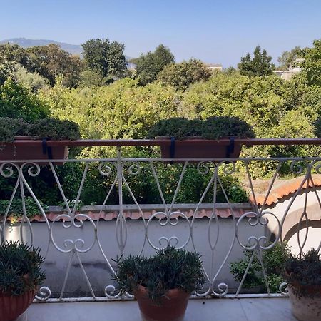 La Casa Di Rosa - Casa Vacanze メタ エクステリア 写真